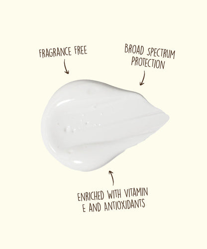Original SPF 70 Sunscreen Face Lotion is fragrance-free, vitamin E enriched, and offers broad spectrum protection by Sun Bum.