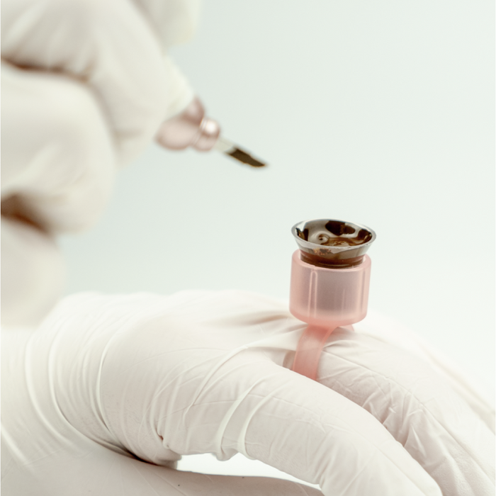 Pigment Ring With Sponge
