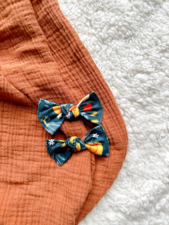 Pigtail Clip Set - Pumpkin Patch