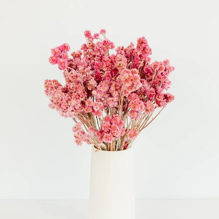 Pink Dried Craspedia Andrean Asters Vase - Image