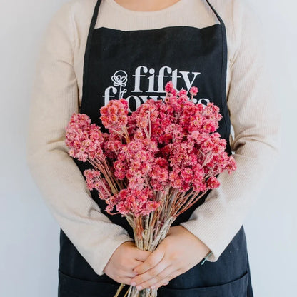 Pink Dried Craspedia Andrean Asters Apron - Image