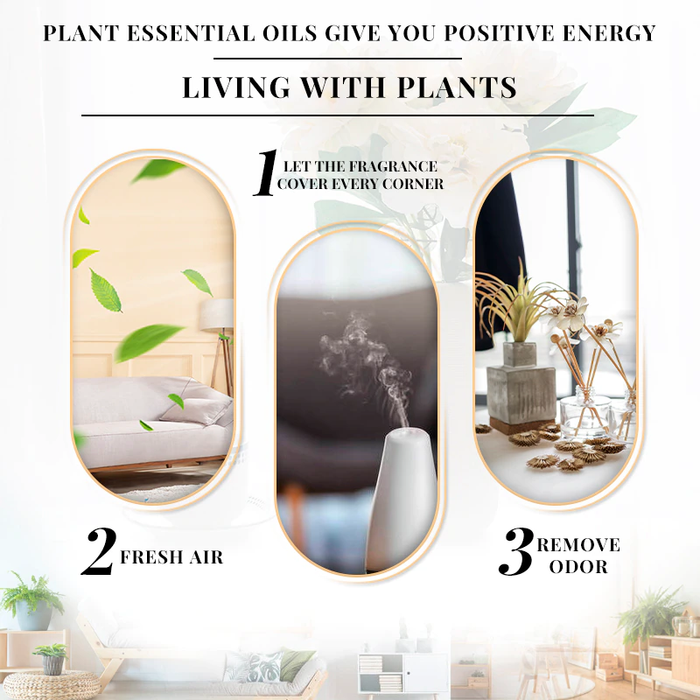 Plant Essence 100% Pure Essential Aromatherapy Oil 10ML with Dropper