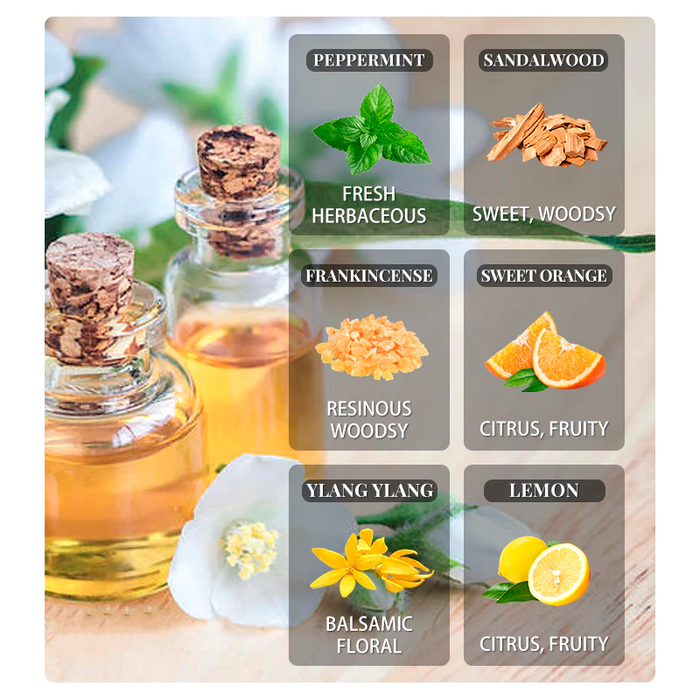 Plant Essence 100% Pure Essential Aromatherapy Oil 10ML with Dropper