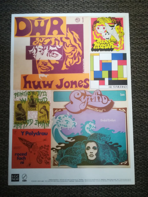 Poster - Sain Record Sleeves