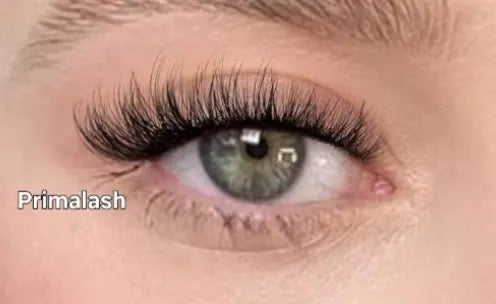 Primalash  Curl C– DIY Cluster Lashes 72 pcs | Biodegradable | Unique Natural Look