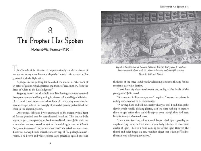 Psychedelic Gospels by Jerry B. Brown: Paperback; 288 pages / English