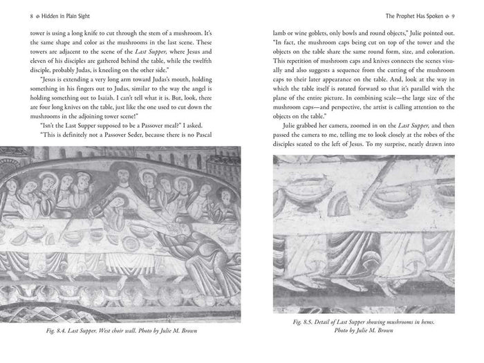 Psychedelic Gospels by Jerry B. Brown: Paperback; 288 pages / English