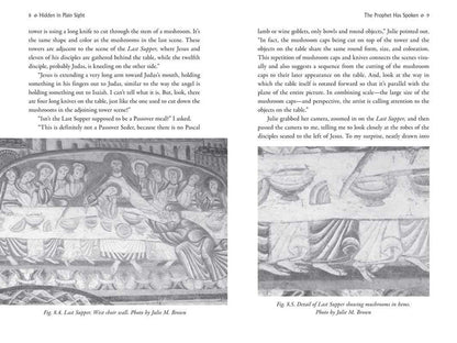 Psychedelic Gospels by Jerry B. Brown: Paperback; 288 pages / English