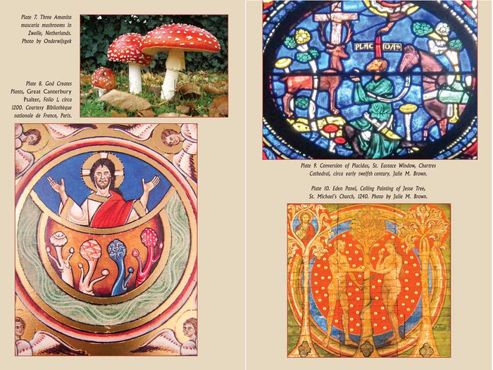 Psychedelic Gospels by Jerry B. Brown: Paperback; 288 pages / English