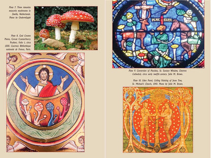 Psychedelic Gospels by Jerry B. Brown: Paperback; 288 pages / English