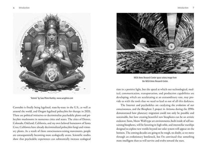 Psychedelics and the Coming Singularity by David Jay Brown: Paperback; 400 pages / English