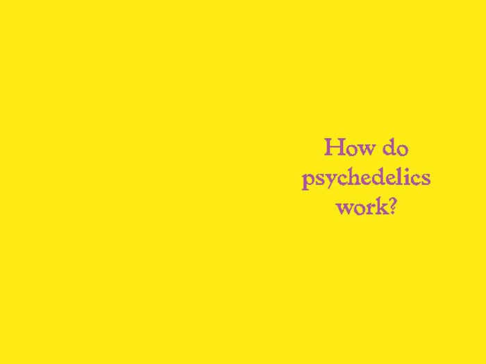 Psychedelics by Mattha Busby