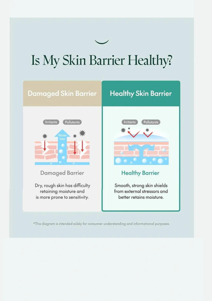 PURITO skin barrier guide for dryness dehydration and sensitivity