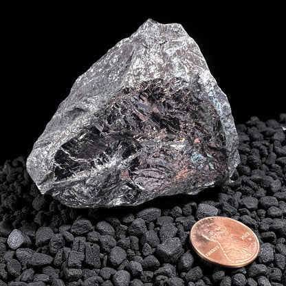 Medium (between 49 and 150 grams)