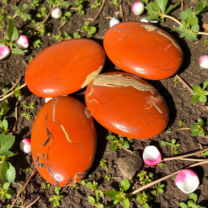 Shop Red Jasper Palm Stones at Raven’s Cauldron. Each 80g stone, ~2.75 inches long, is mined in Brazil and polished to showcase beautiful reds and whites. Perfect for grounding and healing.