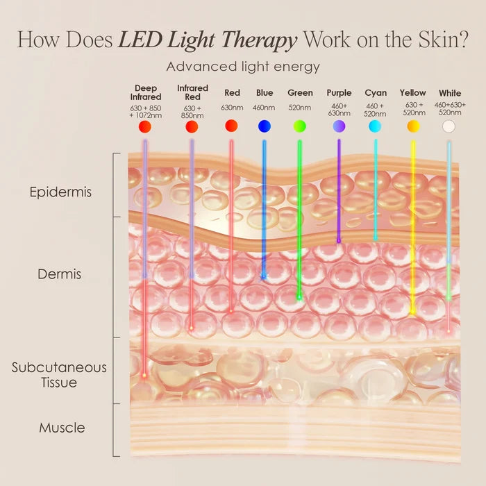 Diagram explaining how different LED light wavelengths from the Revalio LED Facial Neck Massager penetrate the skin layers.