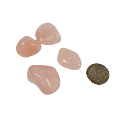 Rose Quartz Tumbled