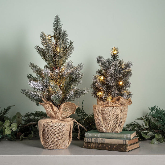 D-LL1702627_Set-of-2-Pre-Lit-Frosted-Mini-Christmas-Tree.jpg