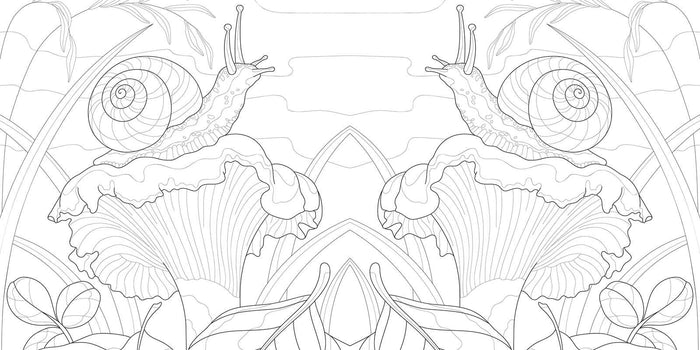 Simon & Schuster - Magic Mushrooms Coloring Book by