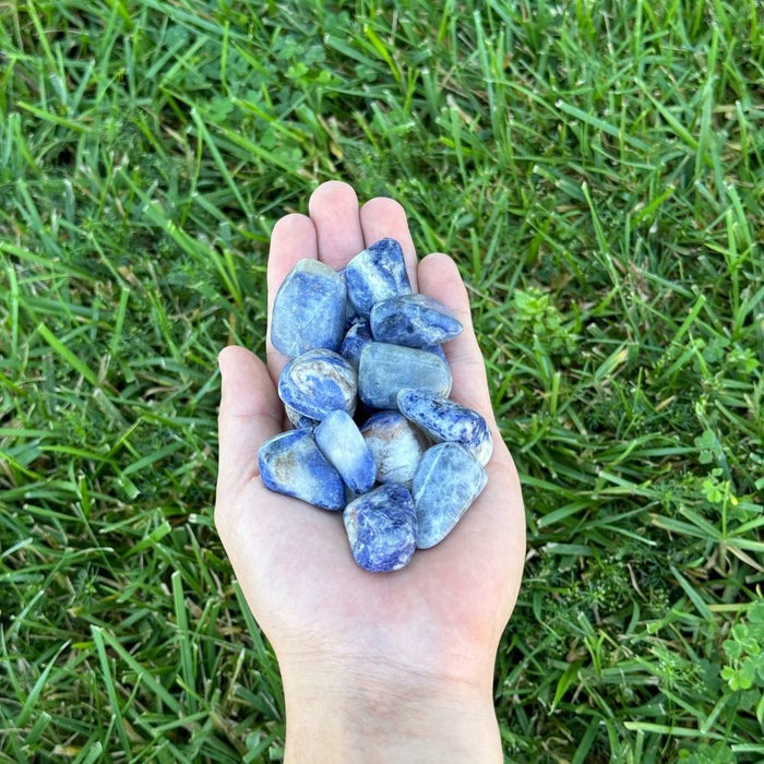 Sodalite Tumbled