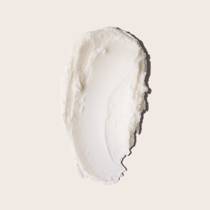 Everist-The Fragrance-Free Shampoo Concentrate-Hair-EVR_002_01202025_Everist_PDP_Images_FFShampoo_Tin_2_cc571e8e-c802-4700-9190-30e5563a9713-The Detox Market |