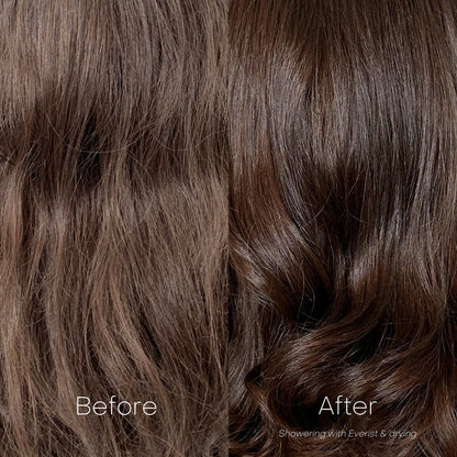 Everist-The Shampoo Concentrate-Hair-TheShampooConcentrate-image3-The Detox Market |