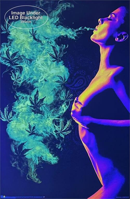 Too Hot to Handle Non Flocked Blacklight Poster