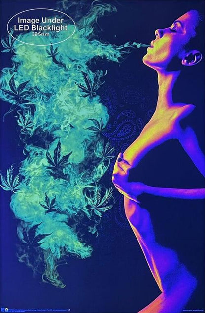 Too Hot to Handle Non Flocked Blacklight Poster