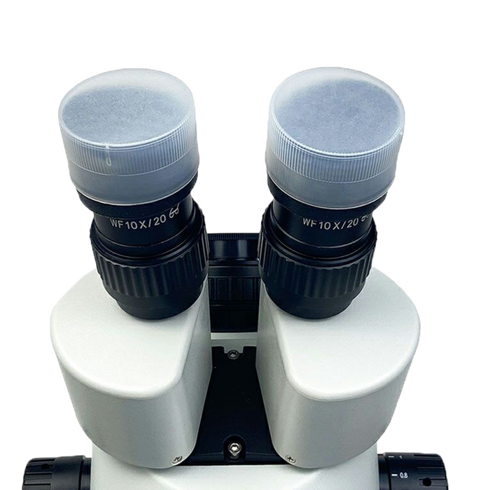 Transparent Plastic Cover Eyepiece Dust Cover(Pair Dia. 39mm) MA02025101