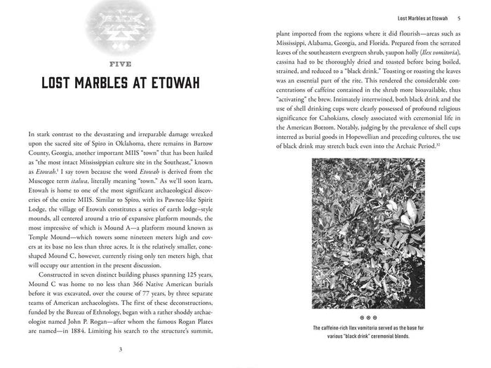 Tripping the Trail of Ghosts by P. D. Newman