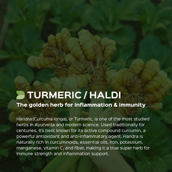 Turmeric / Haldi (Curcuma longa) dry Extract - 20% Total Curcumin by HPLC