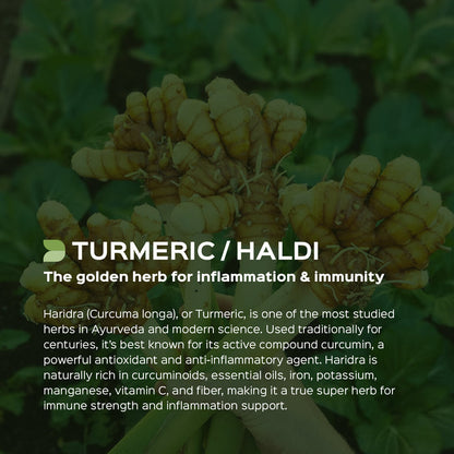 Turmeric / Haldi (Curcuma longa) dry Extract - 20% Total Curcumin by HPLC