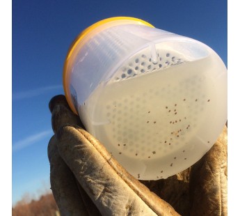 Varroa EasyCheck