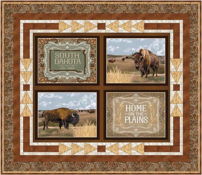 Visit The Plains Pattern #613