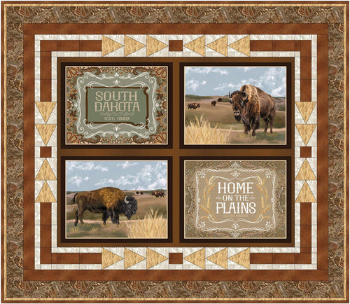 Visit The Plains Pattern #613