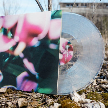 A Trade Wind clear vinyl LP, partly in its sleeve with a blurred, colorful floral design, rests outdoors on dry grass and leaves, with branches and a building visible in the background.