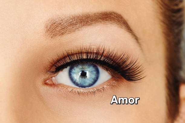 Your Ultimate Lash Solution at Home- Style Eyeconic, Baby doll, Amor, D'Queen,Oolalash Venus Lovelle